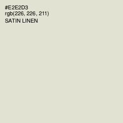 #E2E2D3 - Satin Linen Color Image